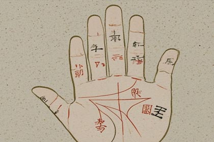 手掌丘,手掌纹,感情线,智慧线,生命线,事业线,财运线,婚姻线,手相图解