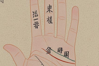 手掌丘,手掌纹,感情线,智慧线,生命线,事业线,财运线,婚姻线,手相图解